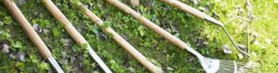 أدوات أدوات