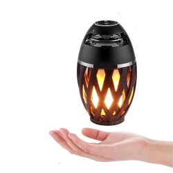 الشعلة المحمولة اللاسلكية 