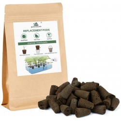 كبسولات البذور 