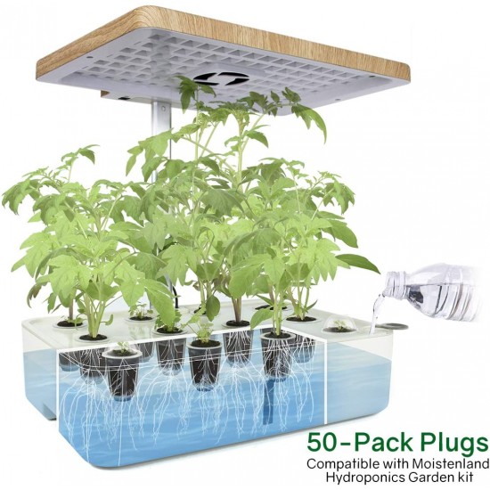 كبسولات البذور 